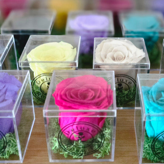 Single Rose Acrylic Box