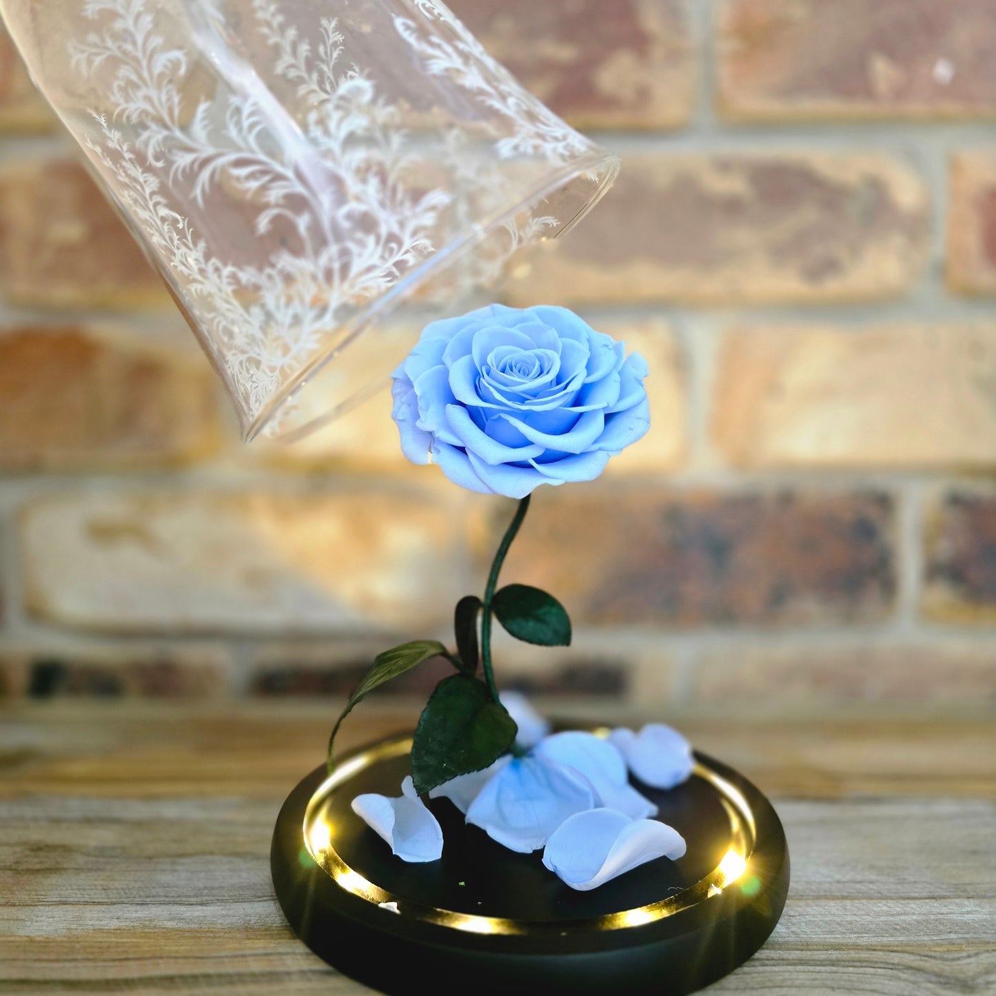 Beauty and the Beast Rose Dome