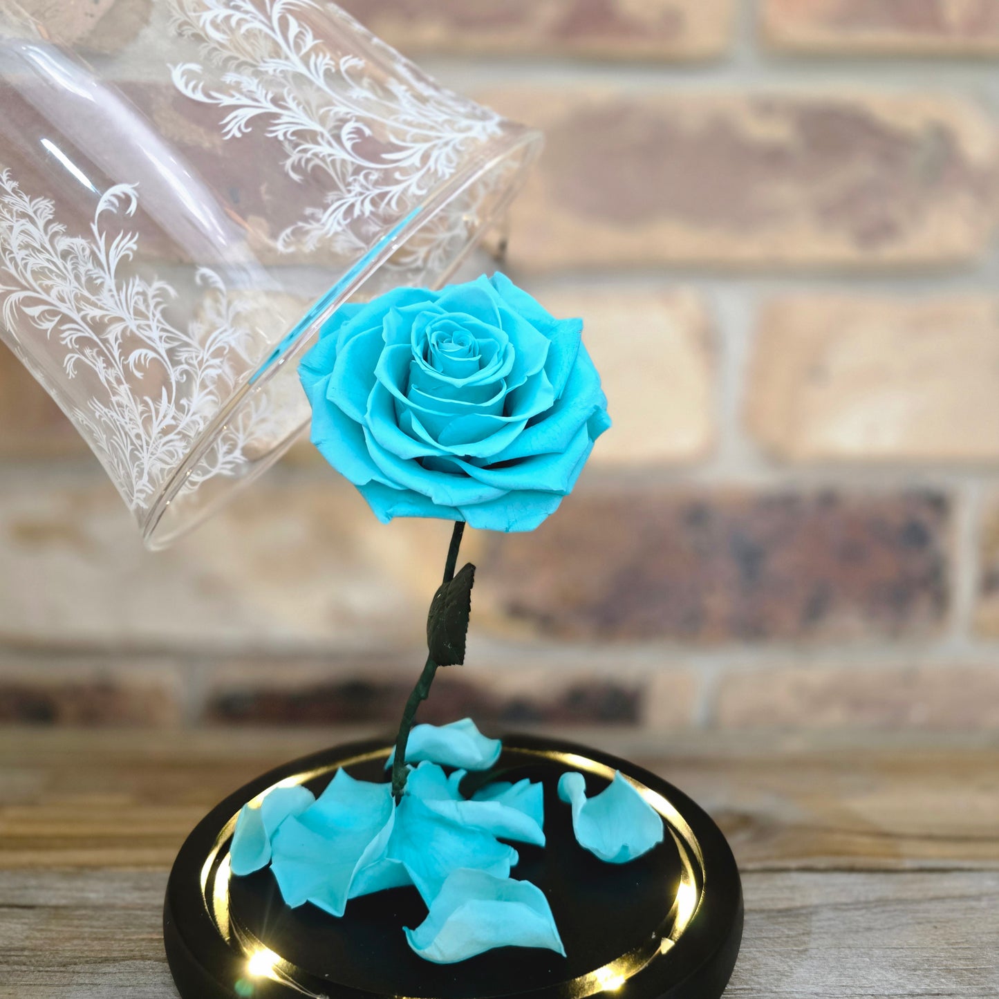 Beauty and the Beast Rose Dome