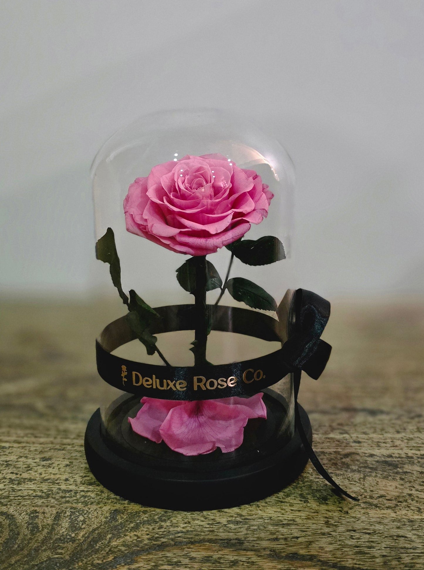 Rose Domes - Medium