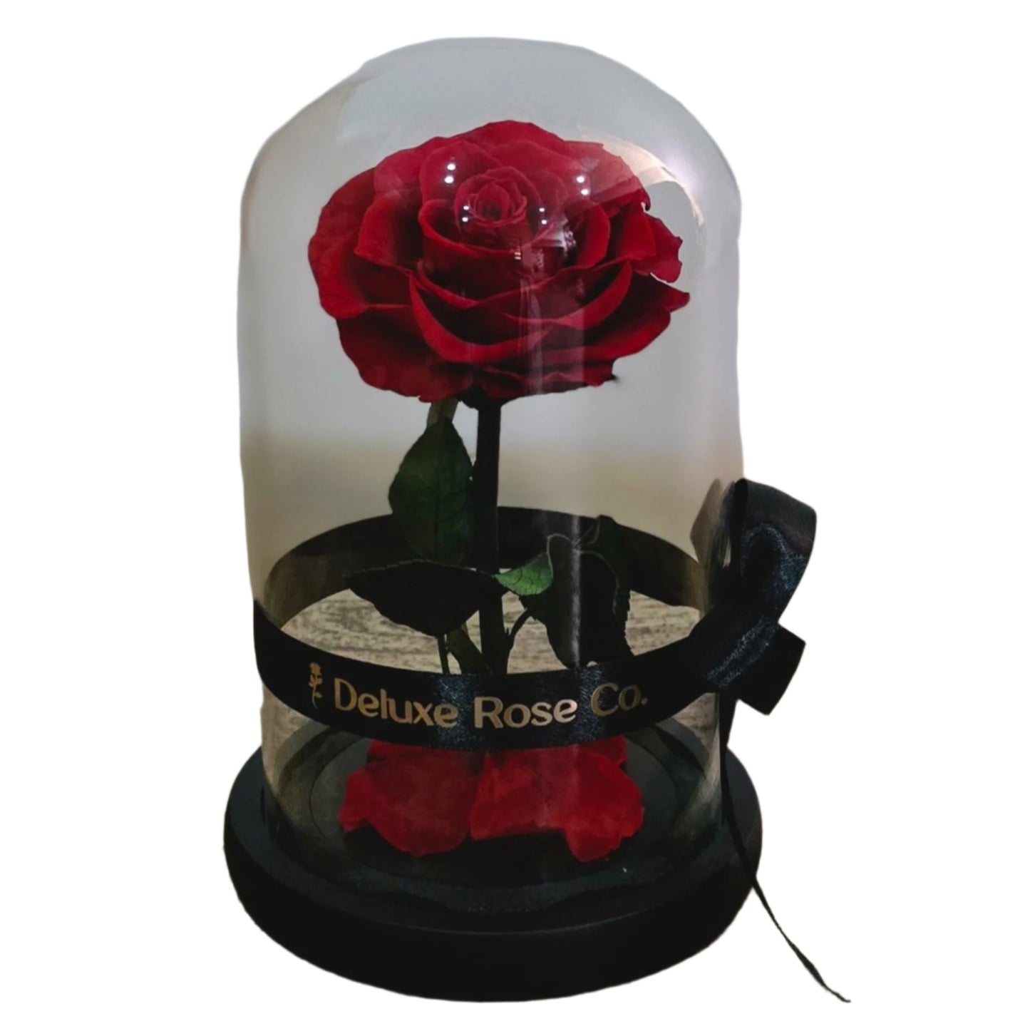 Rose Domes - Medium