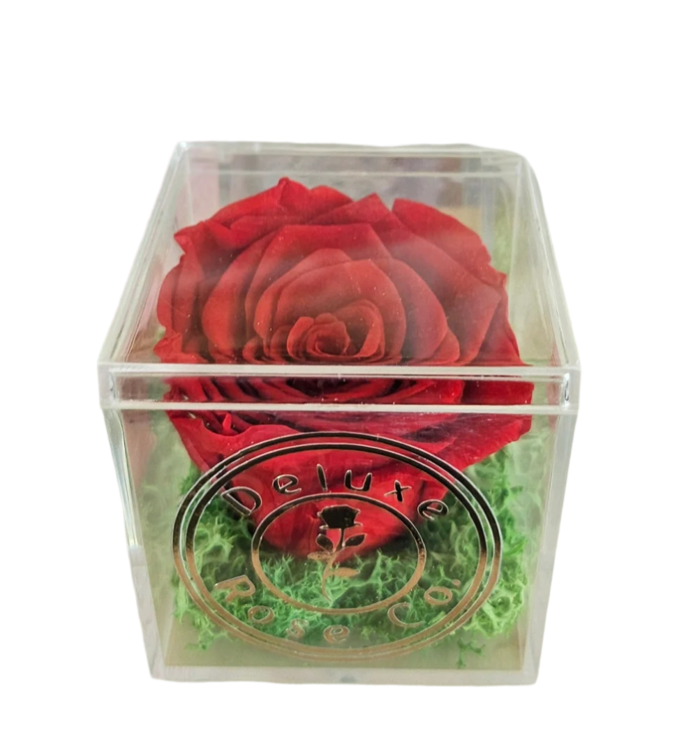 Single Rose Acrylic Box