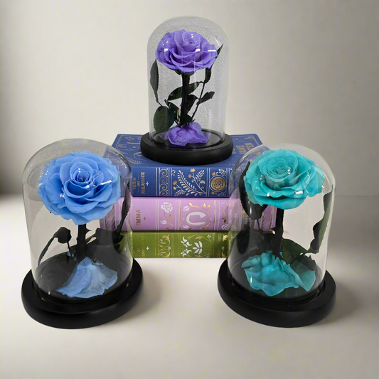 Rose Domes - Mini