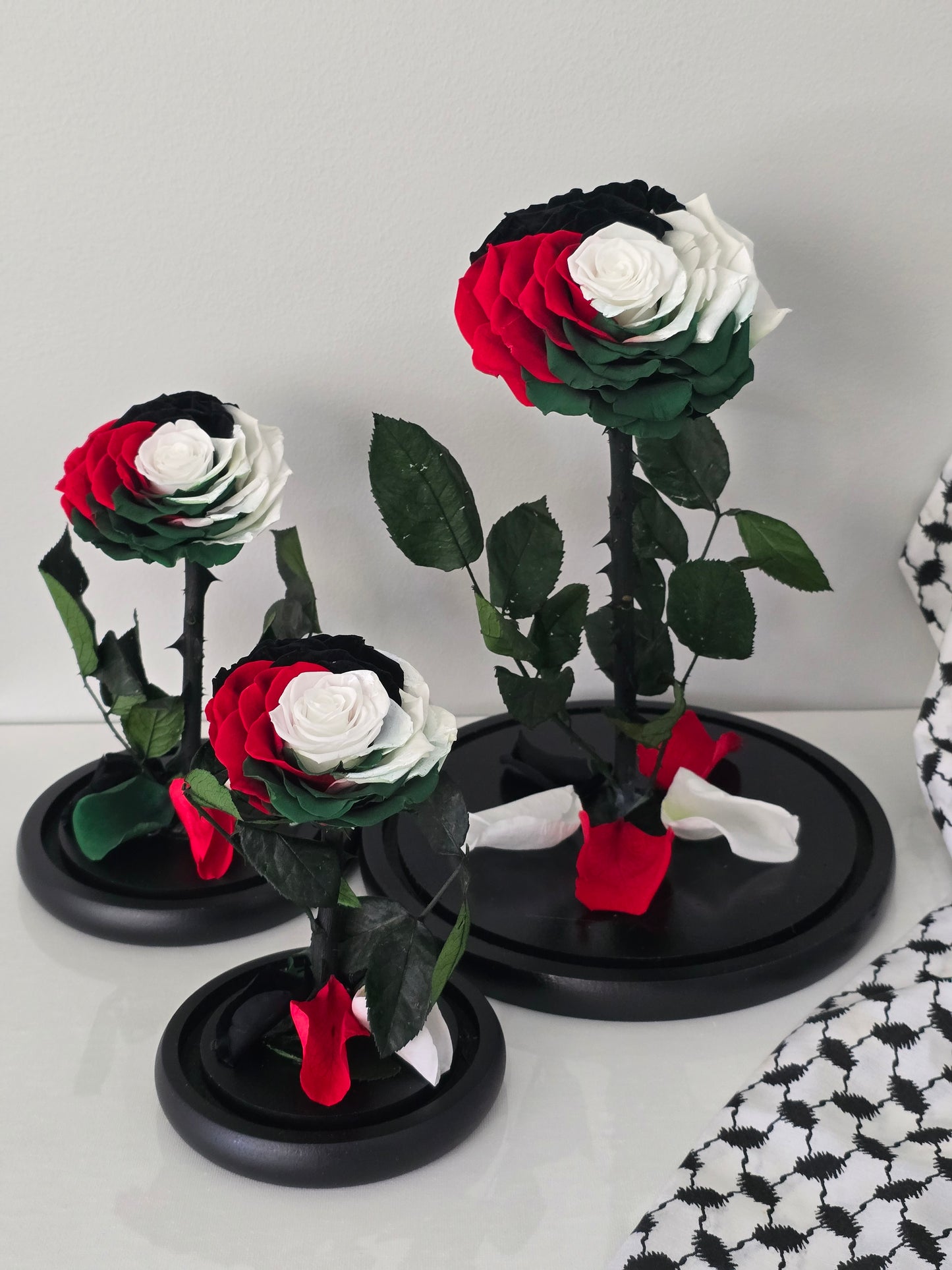 Palestinian Charity Rose Dome