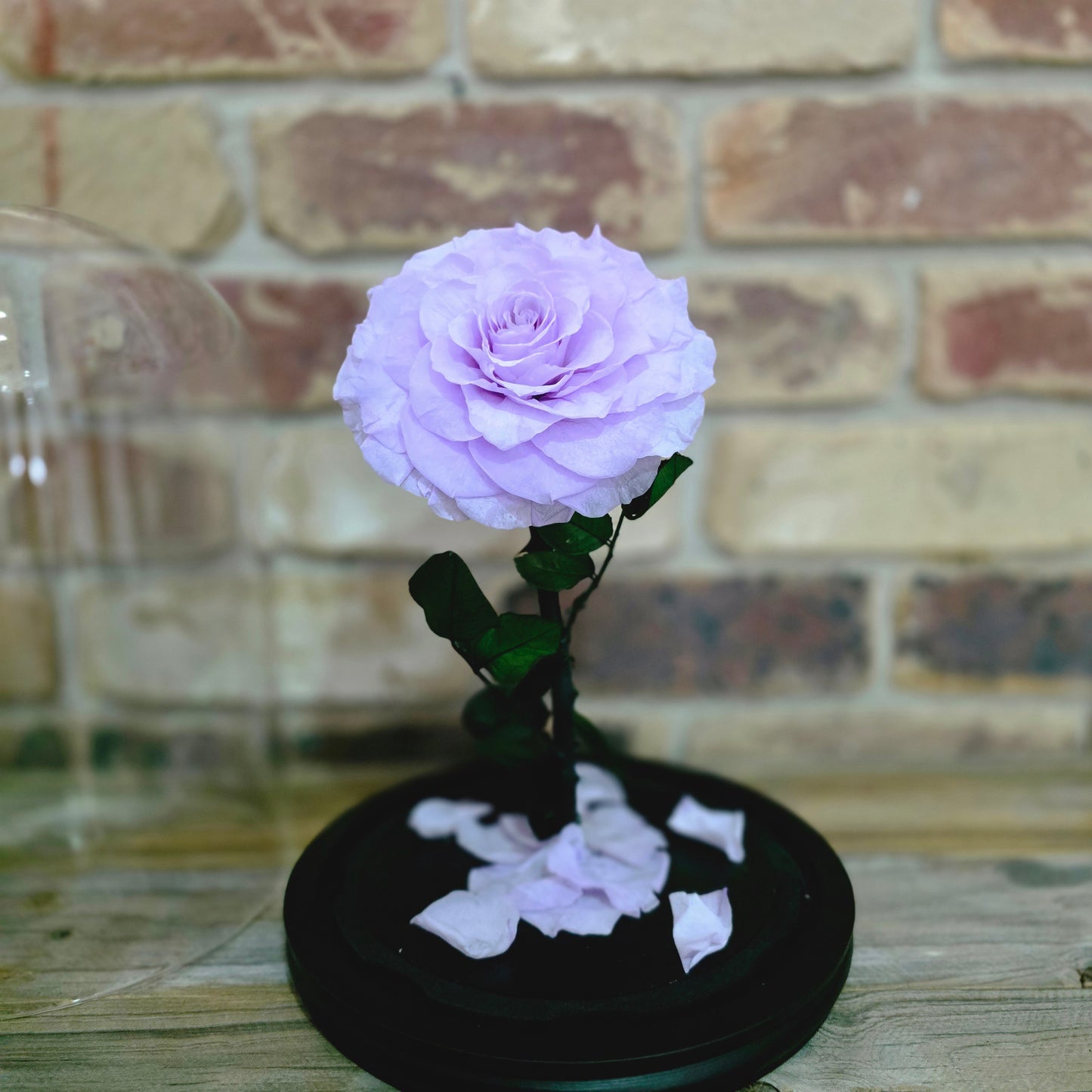 Rose Domes - Large