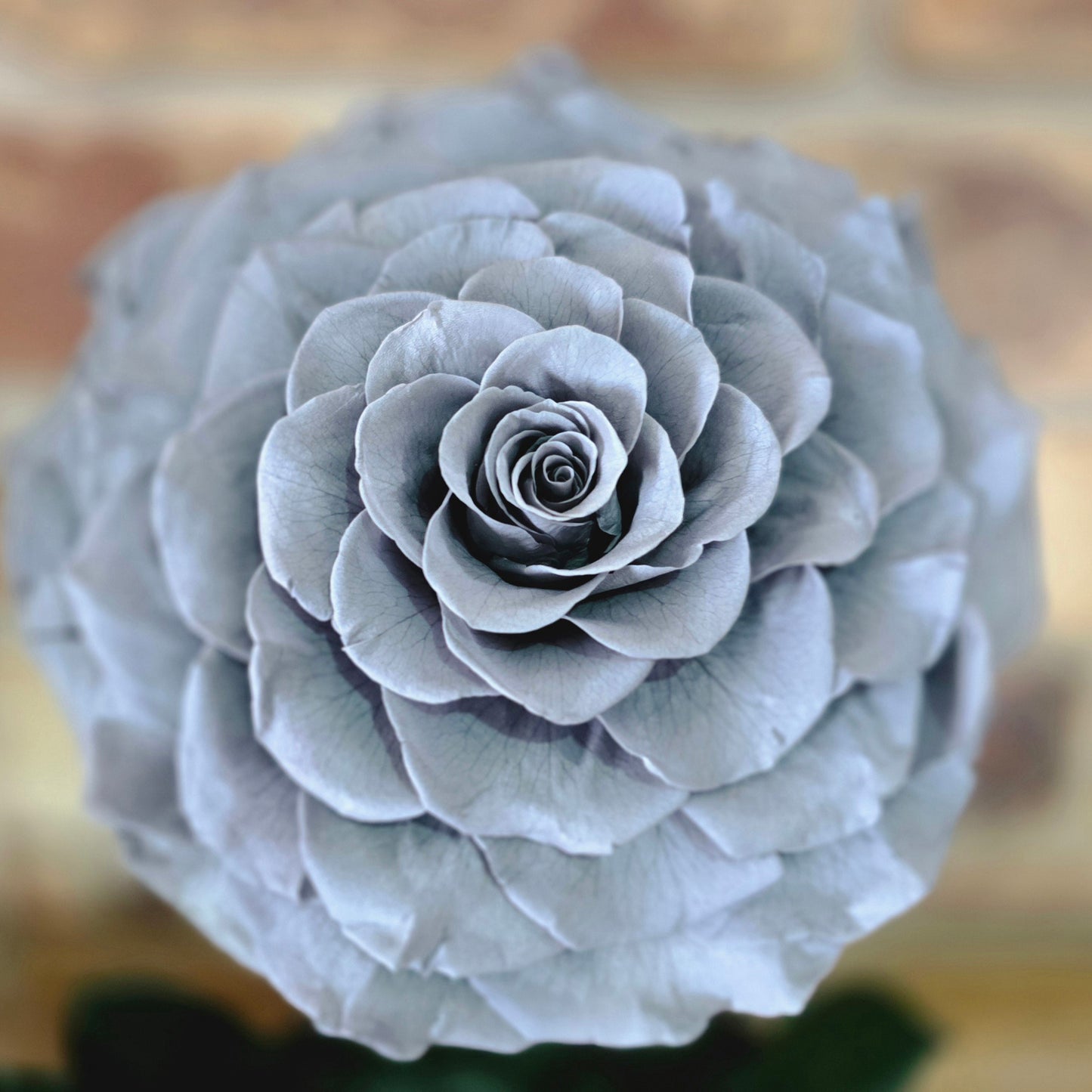 Rose Domes - Large