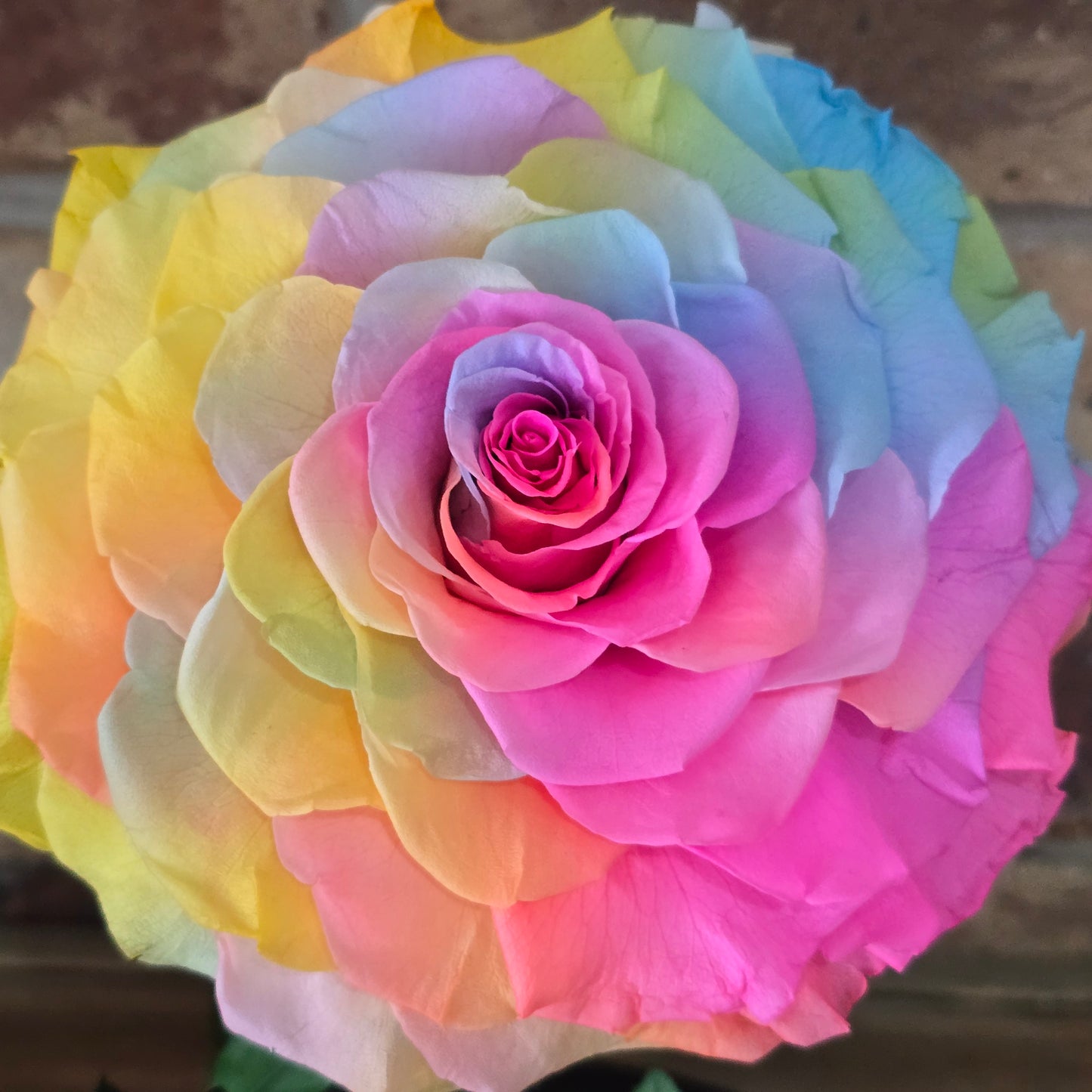 Rose Domes - Large