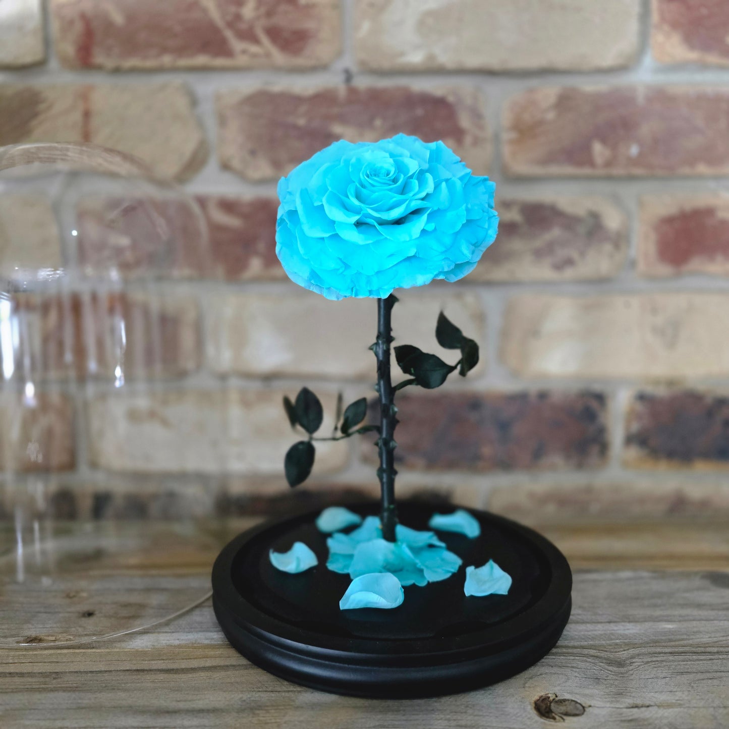 Rose Domes - Large