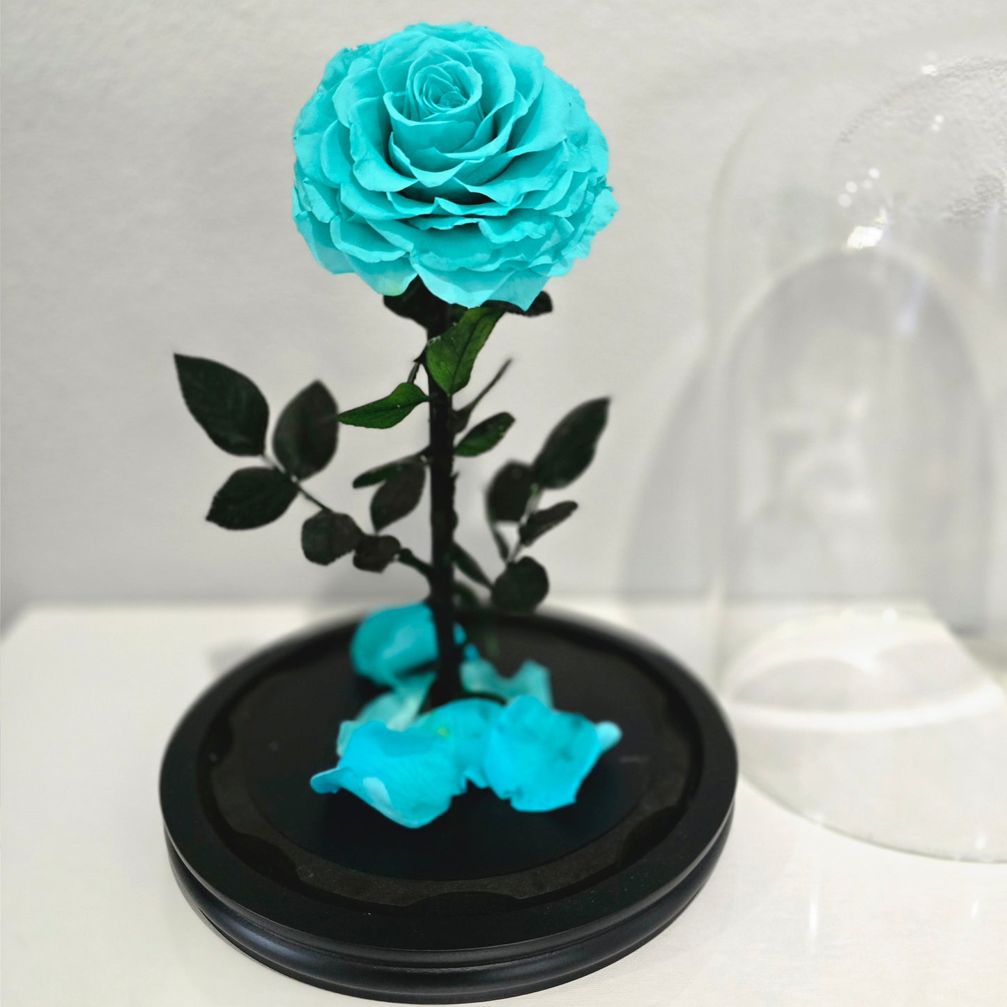 Rose Domes - Large