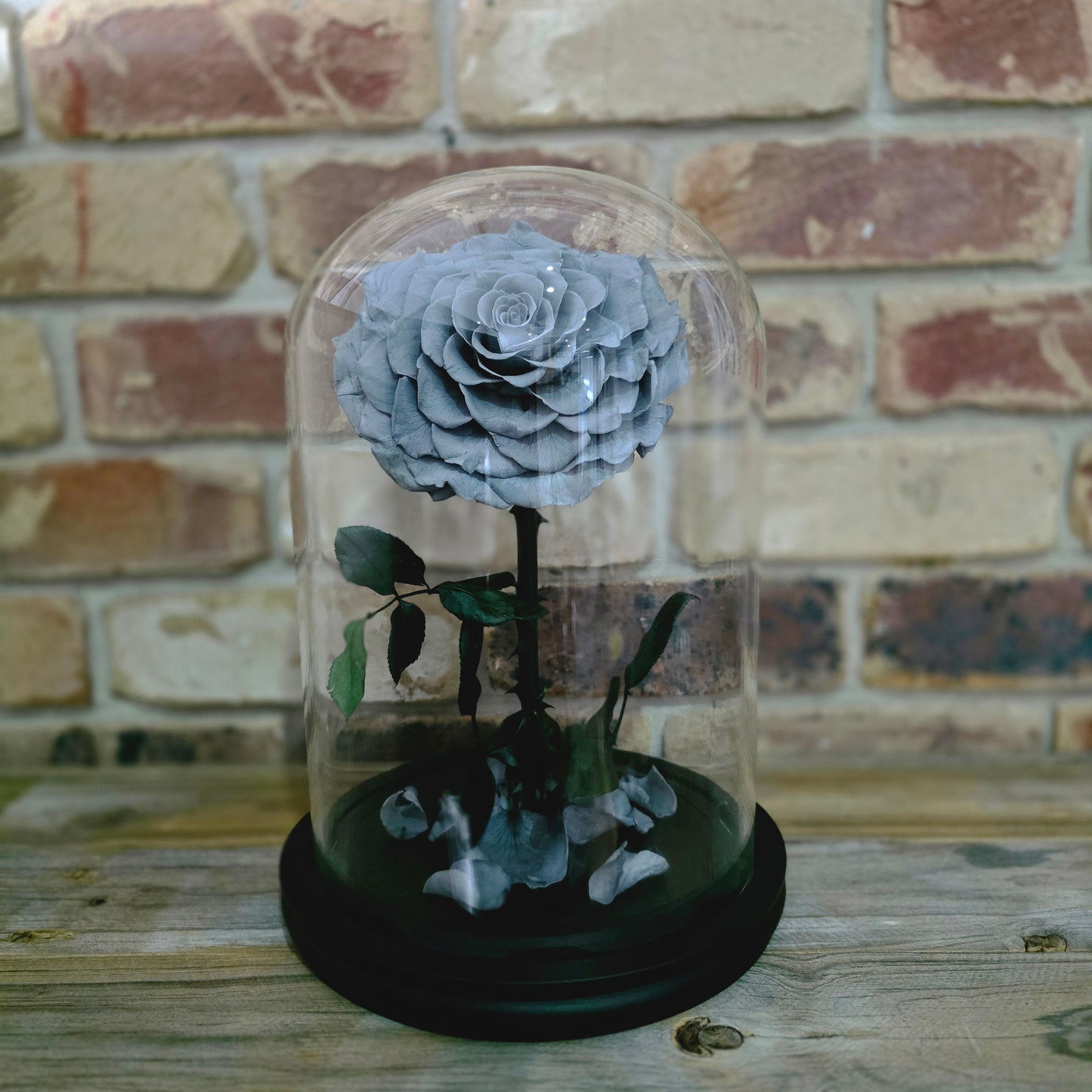 Rose Domes - Large