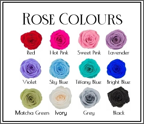 Rose Domes - Mini