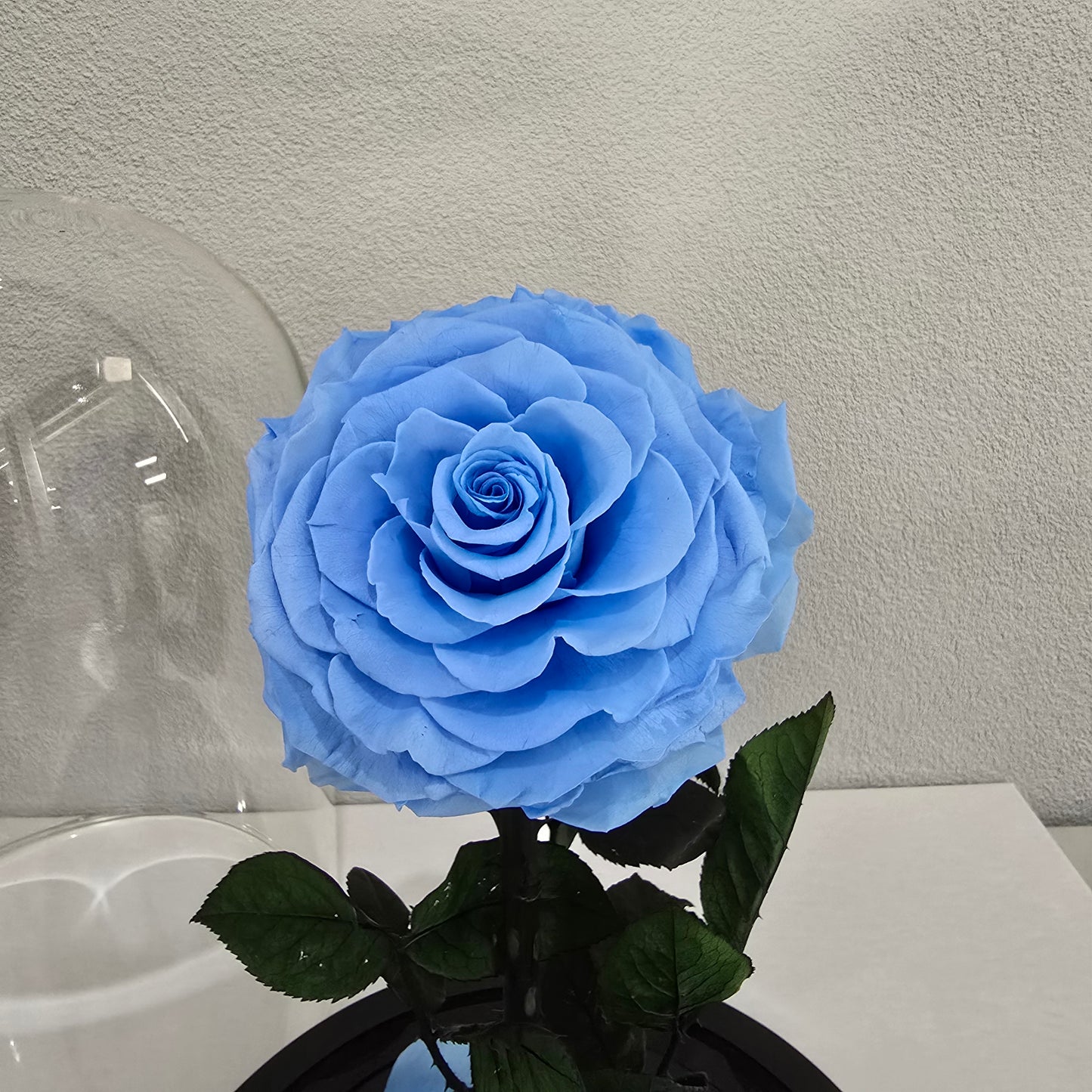 Rose Domes - Large