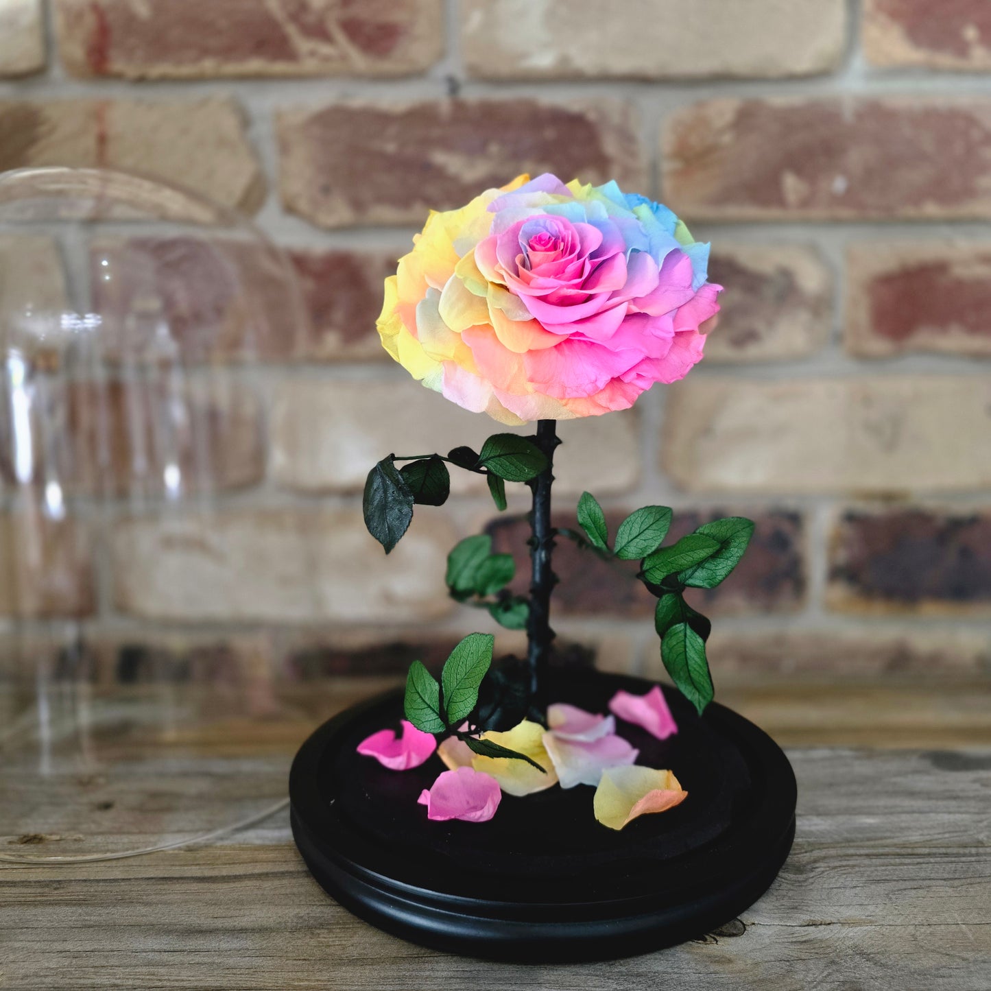 Rose Domes - Large