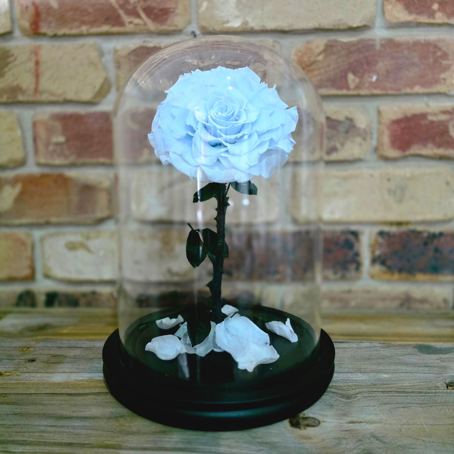 Rose Domes - Large