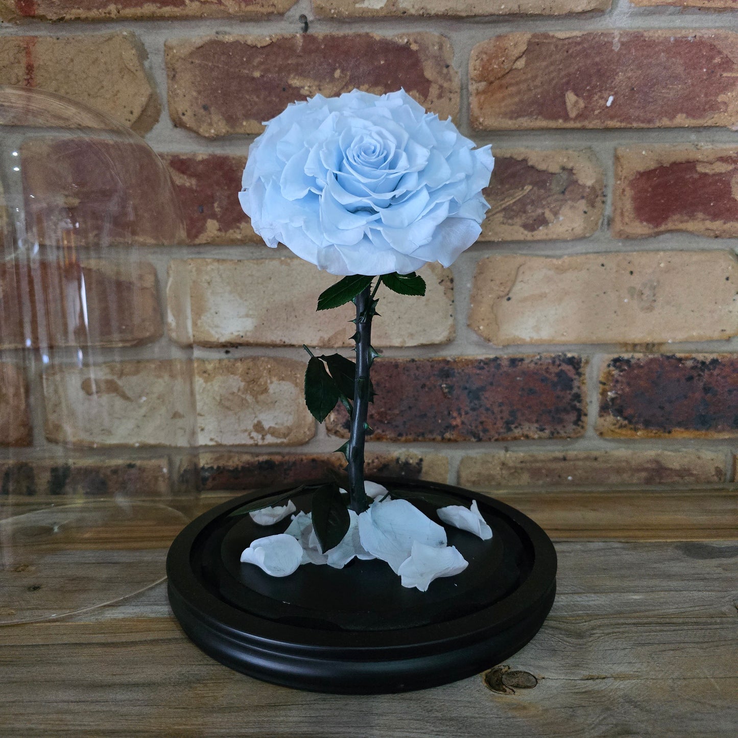 Rose Domes - Large