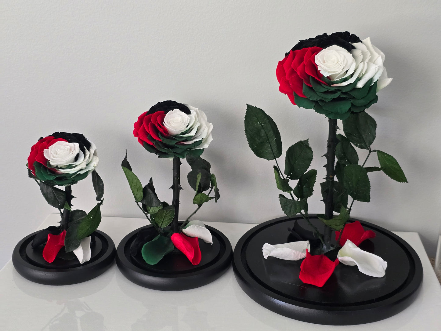 Palestinian Charity Rose Dome