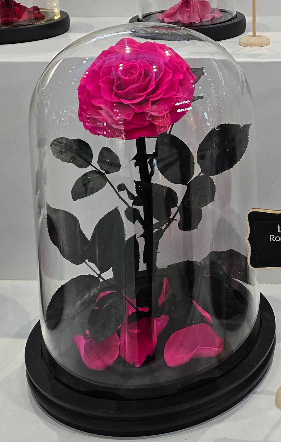 Rose Domes - Large