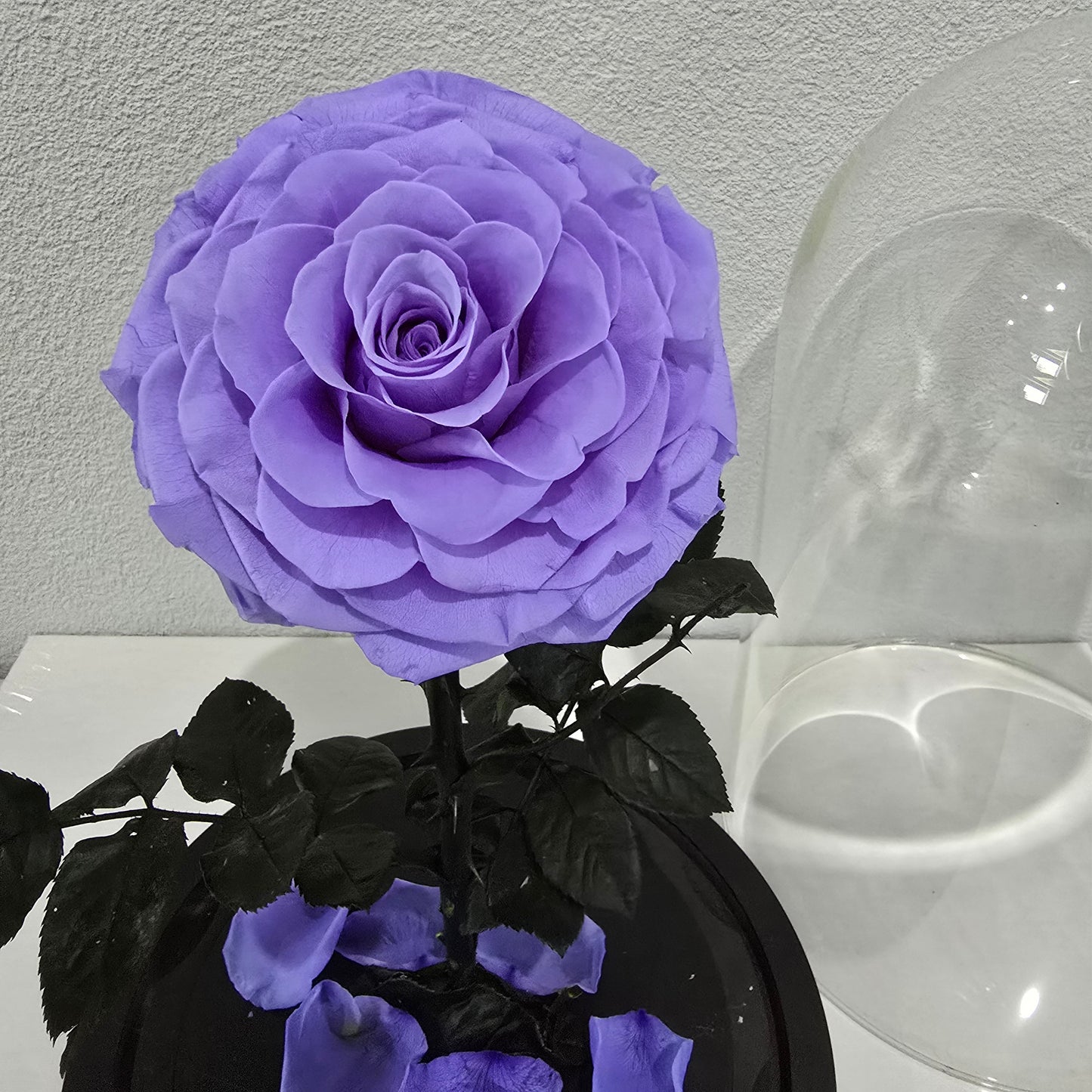 Rose Domes - Large