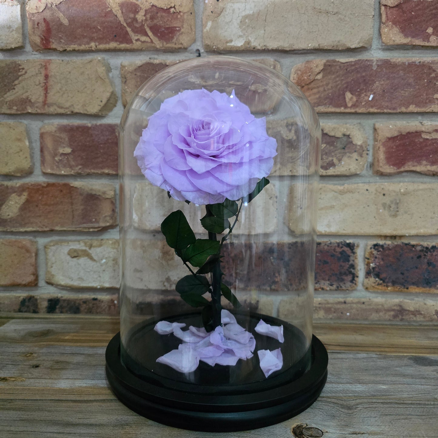 Rose Domes - Large
