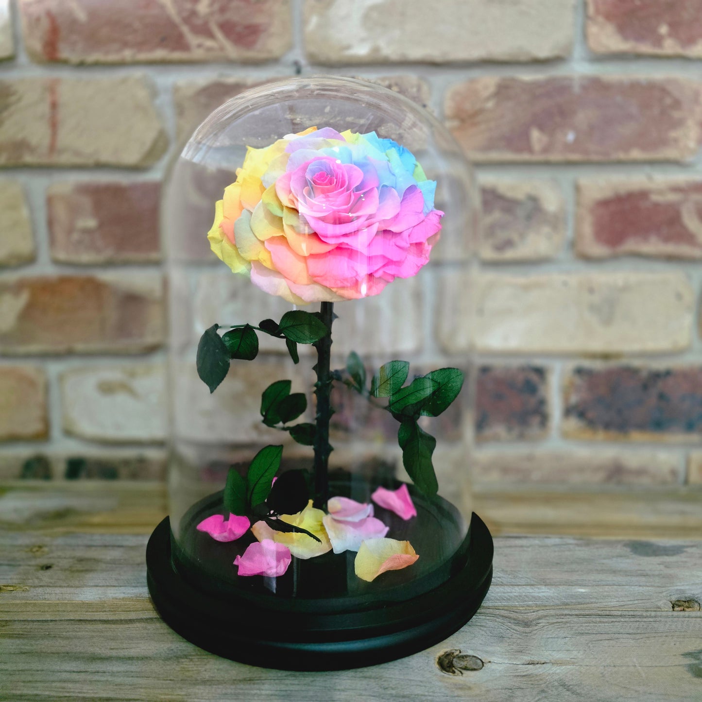 Rose Domes - Large