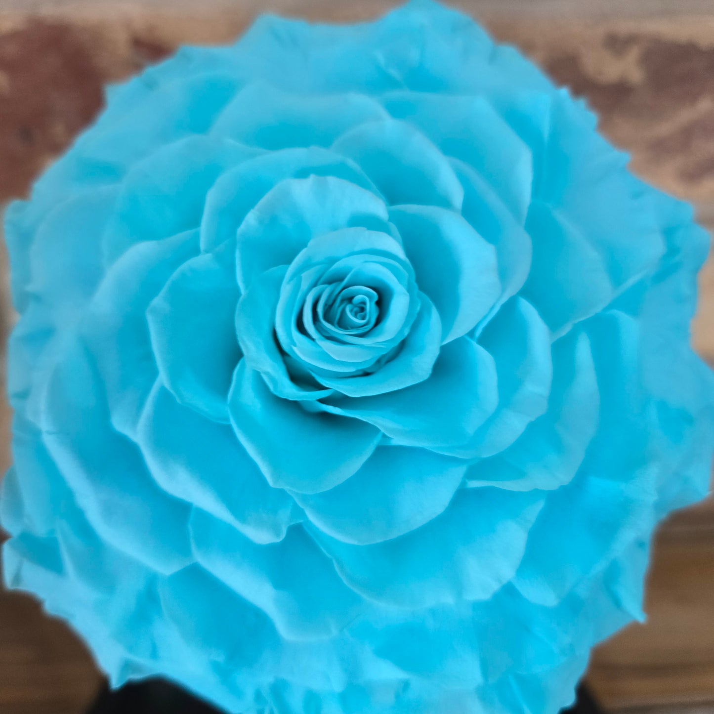 Rose Domes - Large