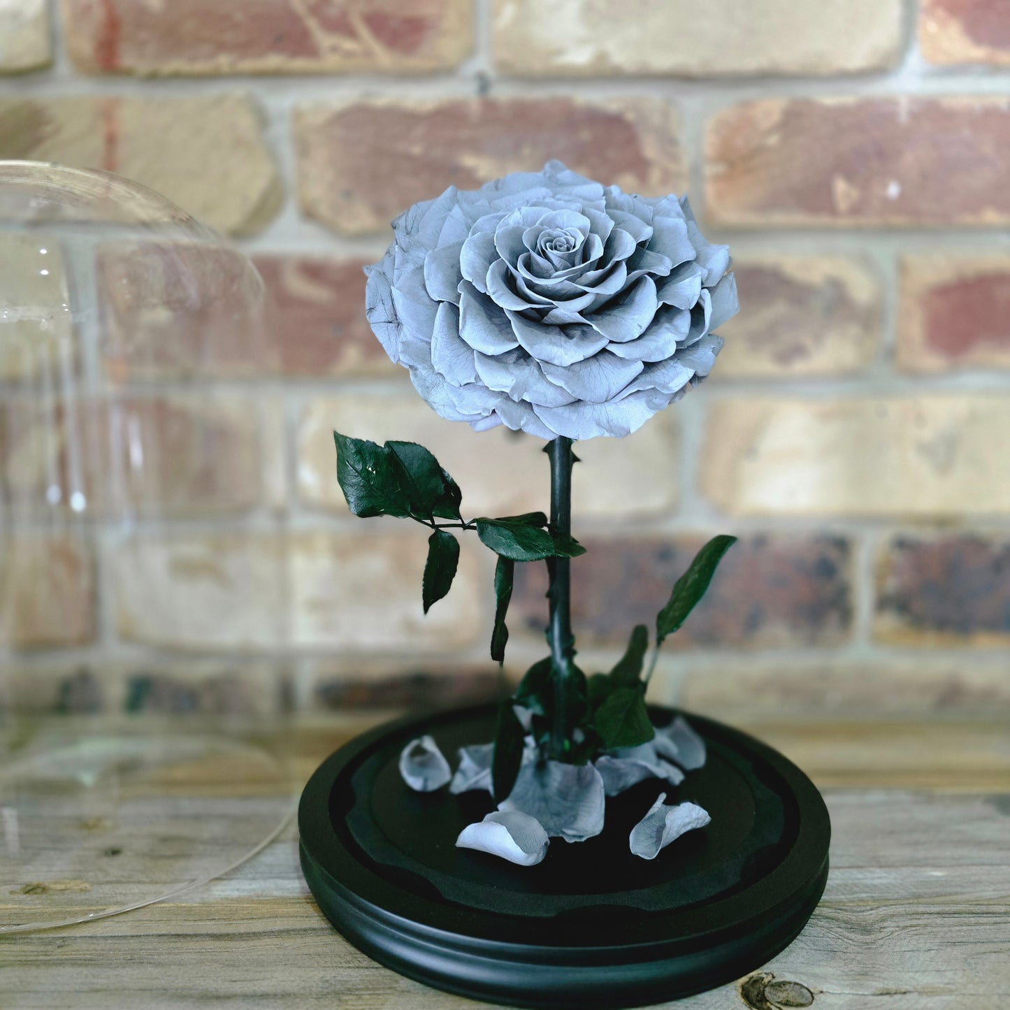 Rose Domes - Large
