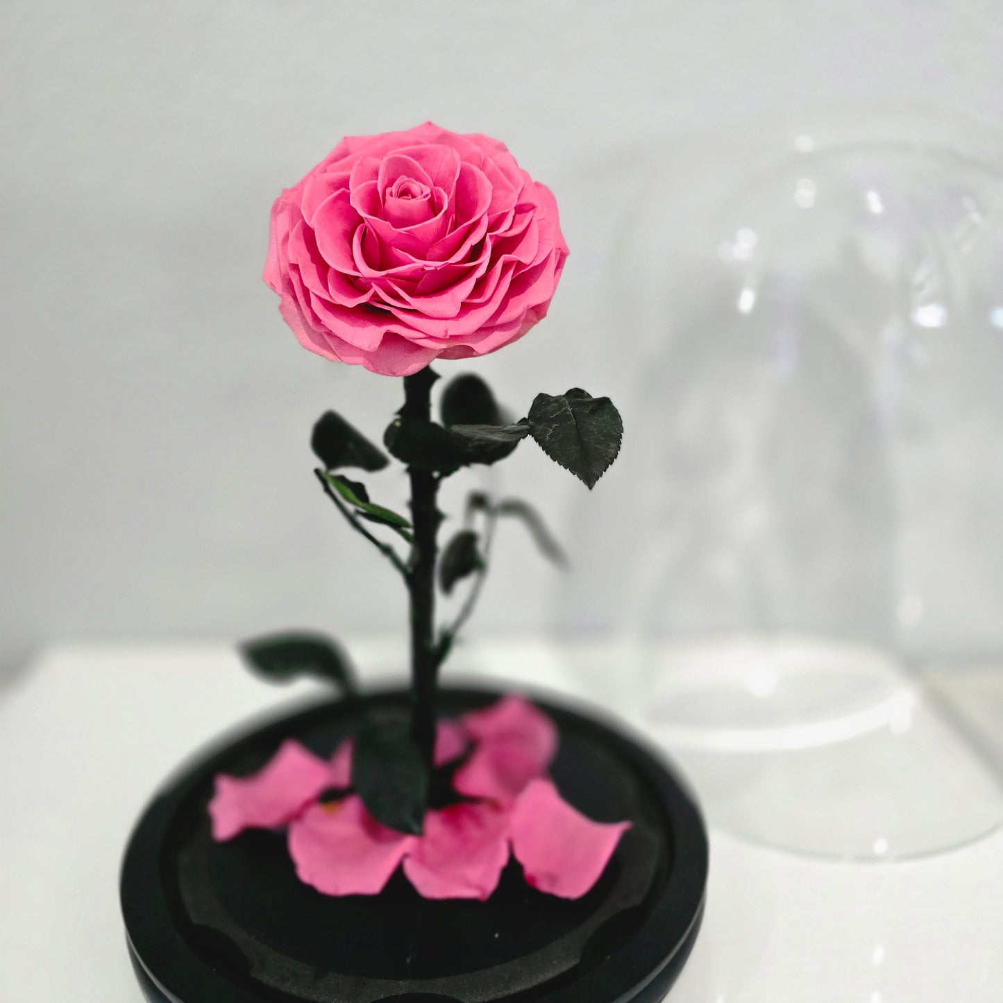 Rose Domes - Large