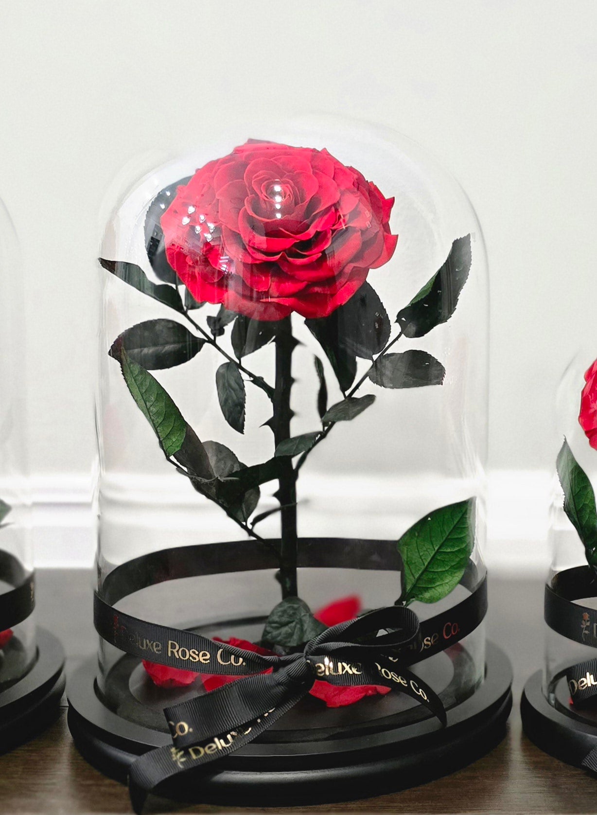 Rose Domes - Large