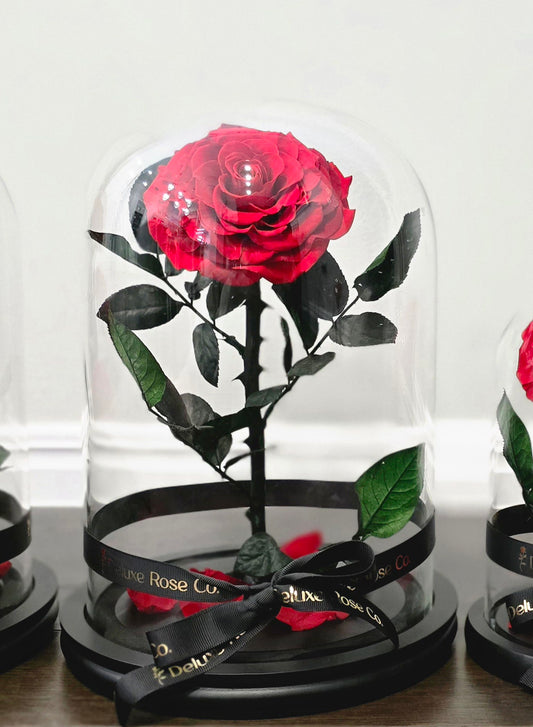 Rose Domes - Large