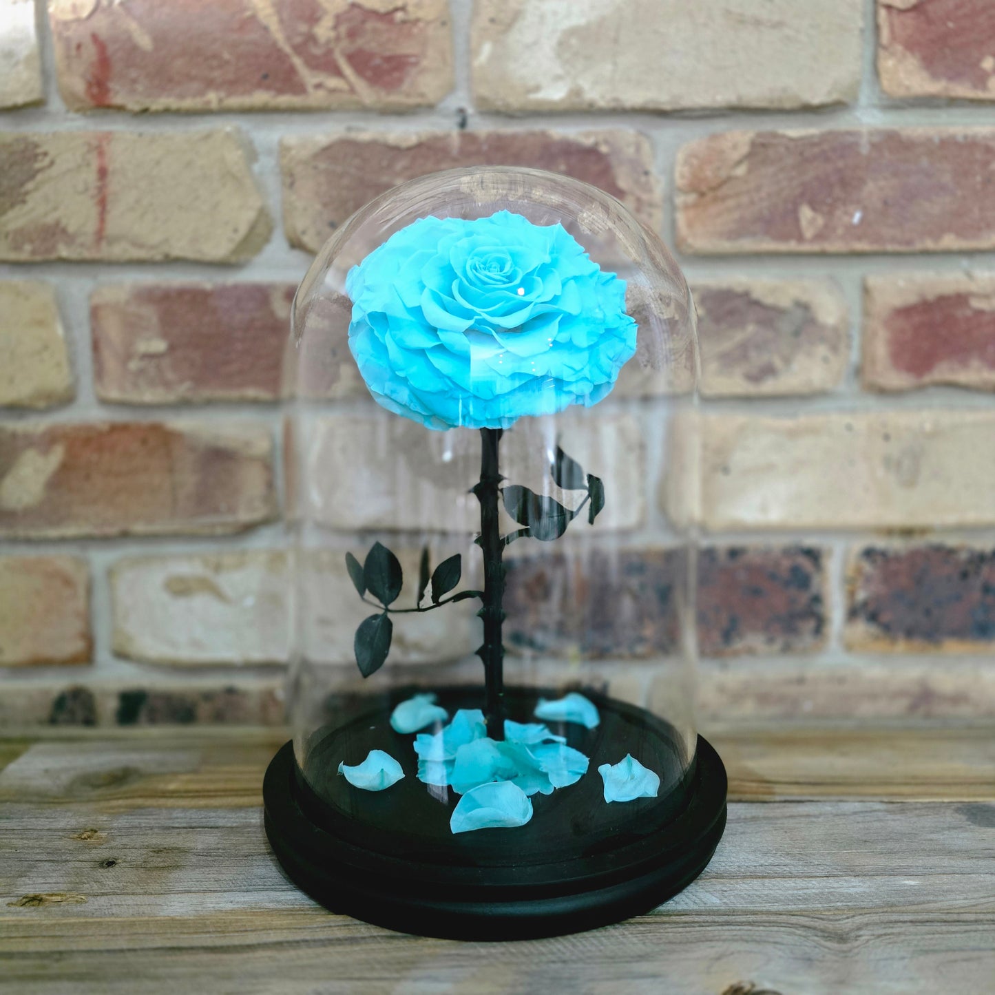 Rose Domes - Large