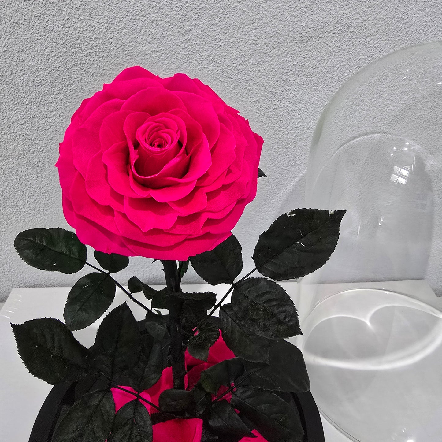 Rose Domes - Large