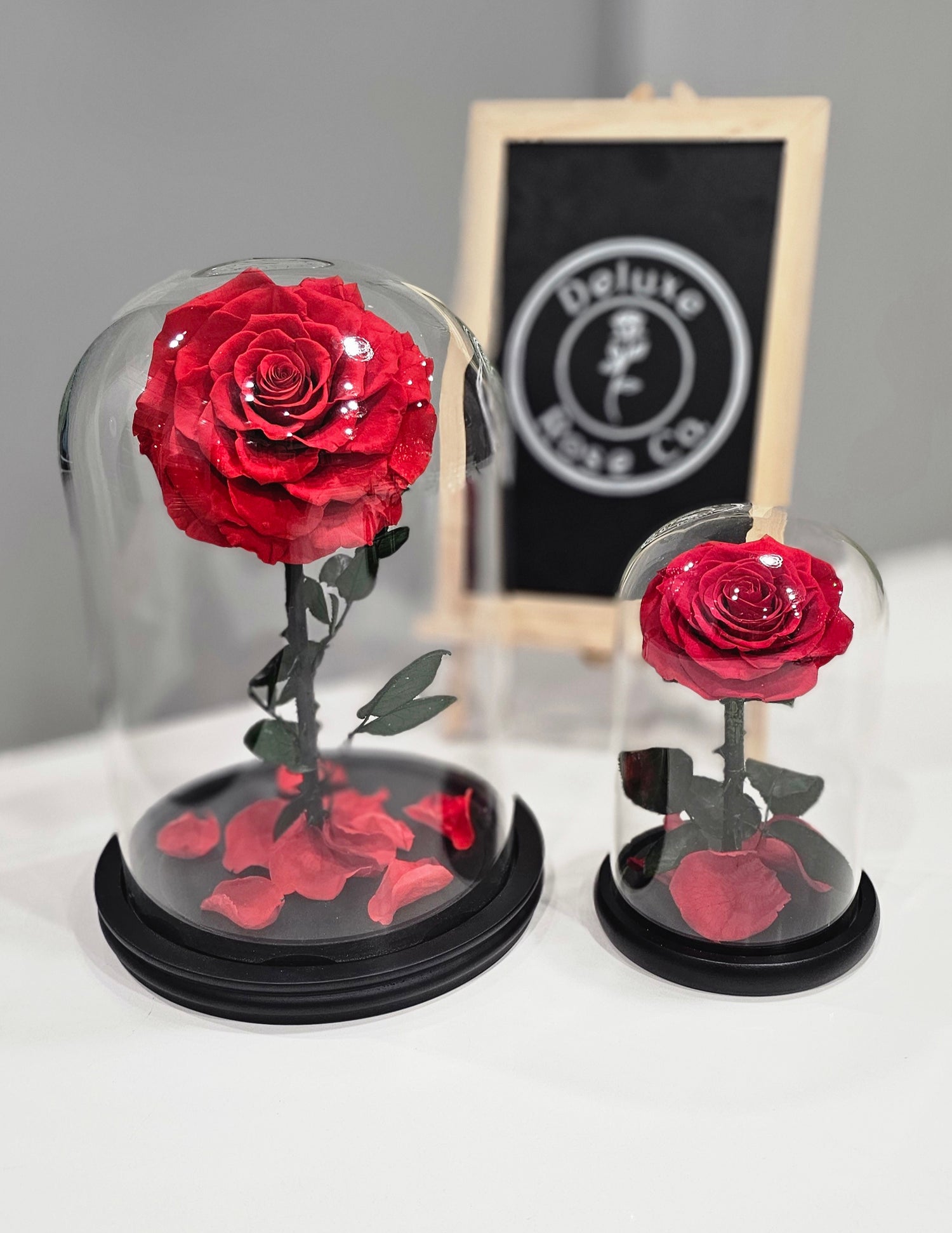Beautiful single roses displayed in an elegant glass dome. Available in 2 sizes.