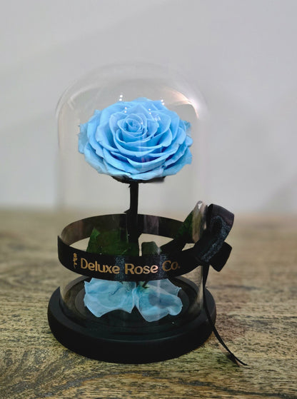 Deluxe Rose Domes - Small