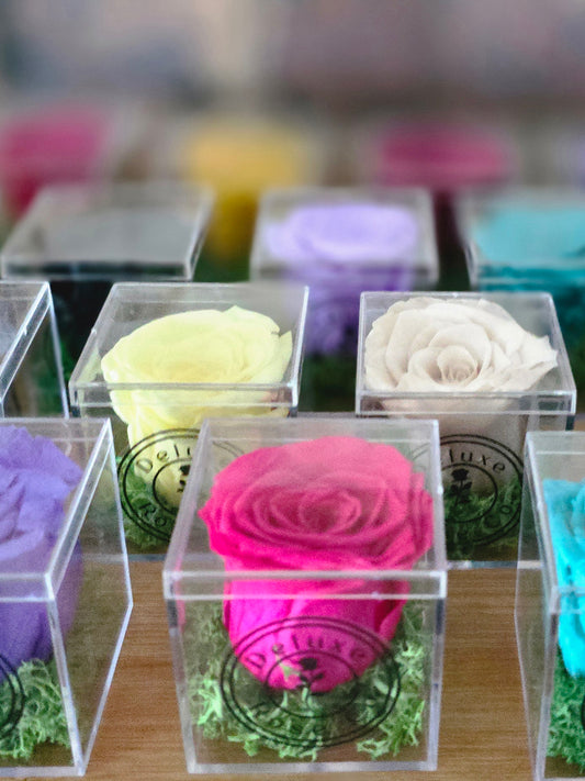 Single Rose Acrylic Box