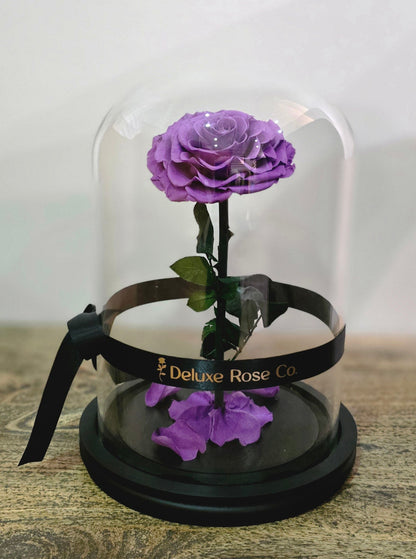 Deluxe Rose Domes - Large