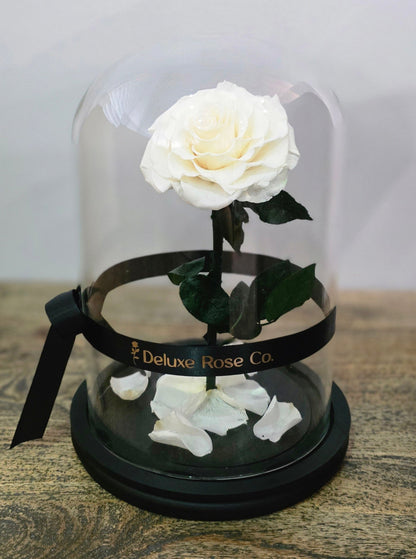 Deluxe Rose Domes - Large