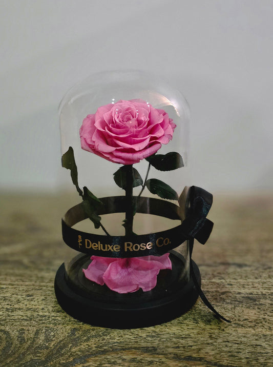 Deluxe Rose Domes - Small