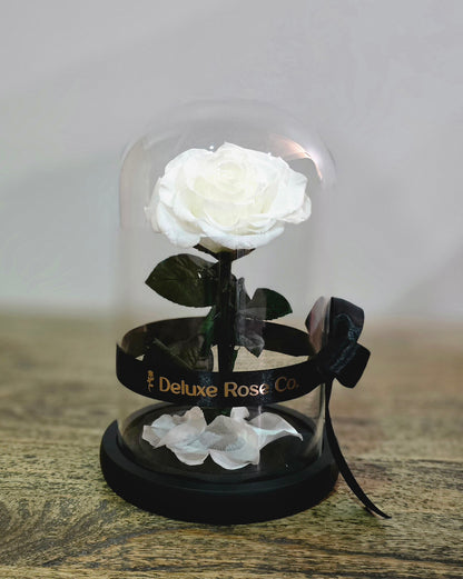 Deluxe Rose Domes - Small