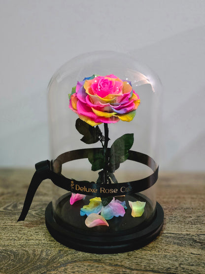 Deluxe Rose Domes - Large