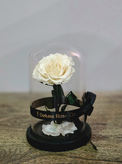 Deluxe Rose Domes - Small