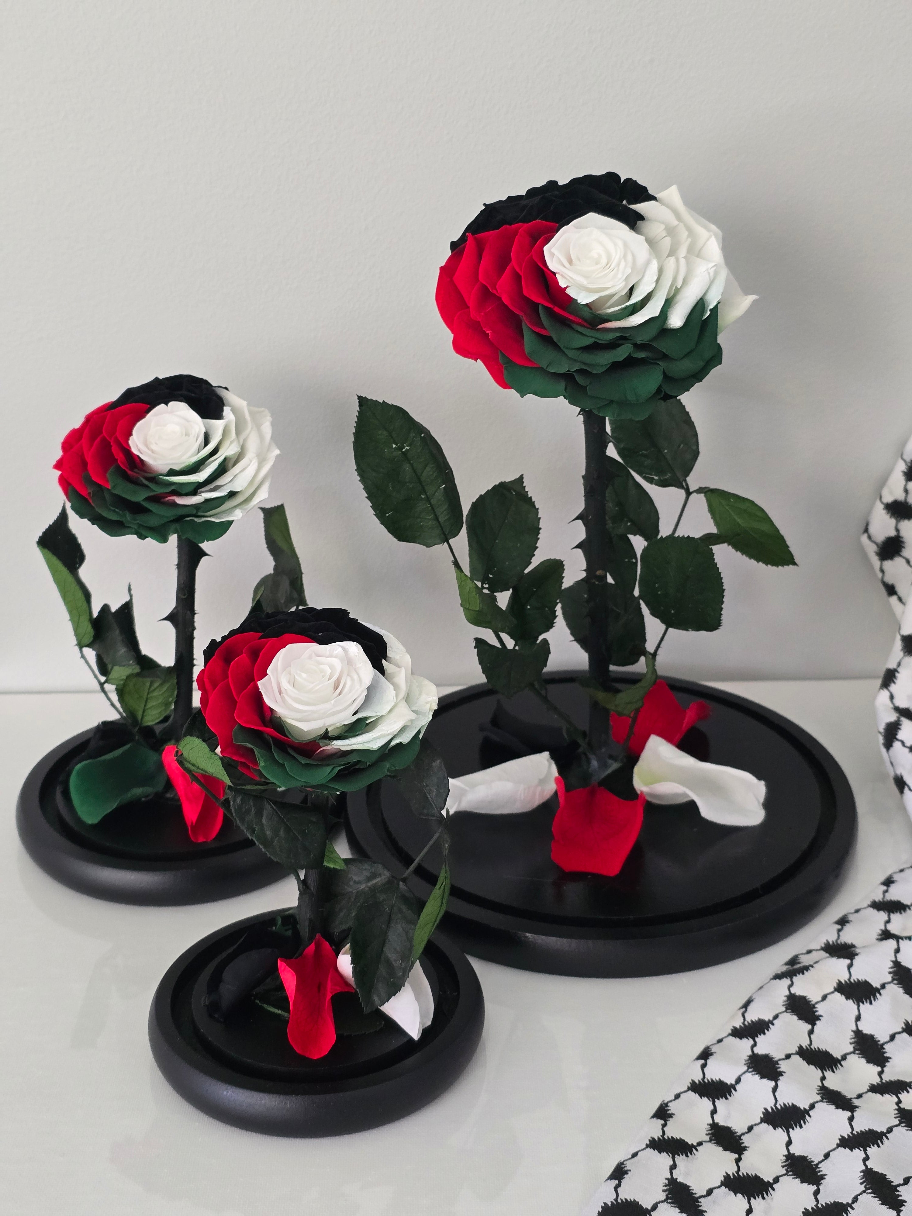Palestinian Charity Rose Dome – Deluxe Rose Co.