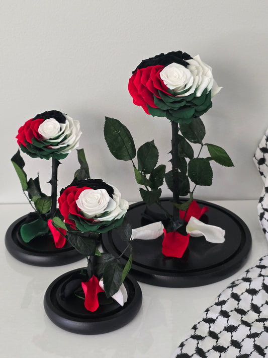 Palestinian Charity Rose Dome