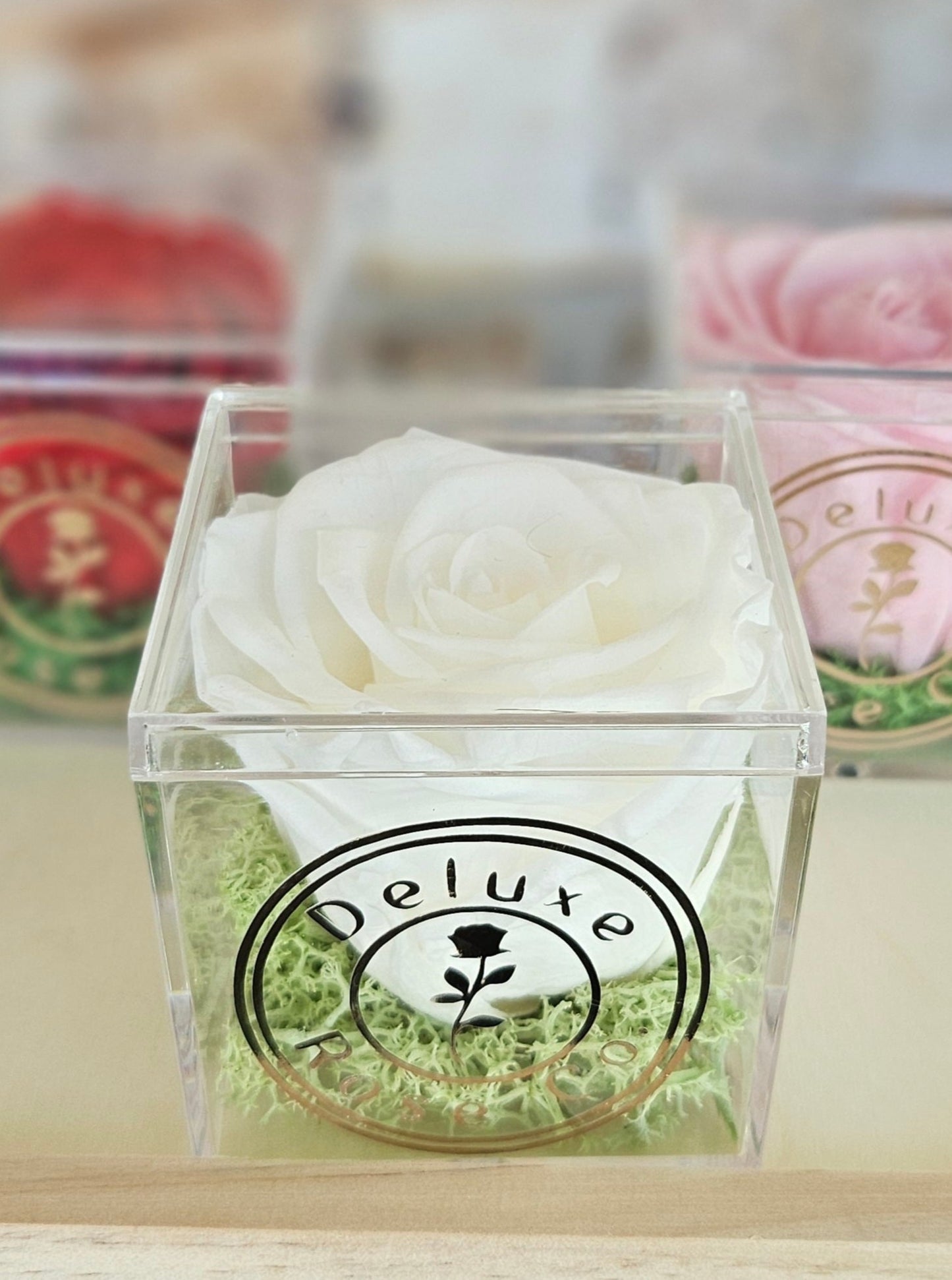 Single Rose Acrylic Box