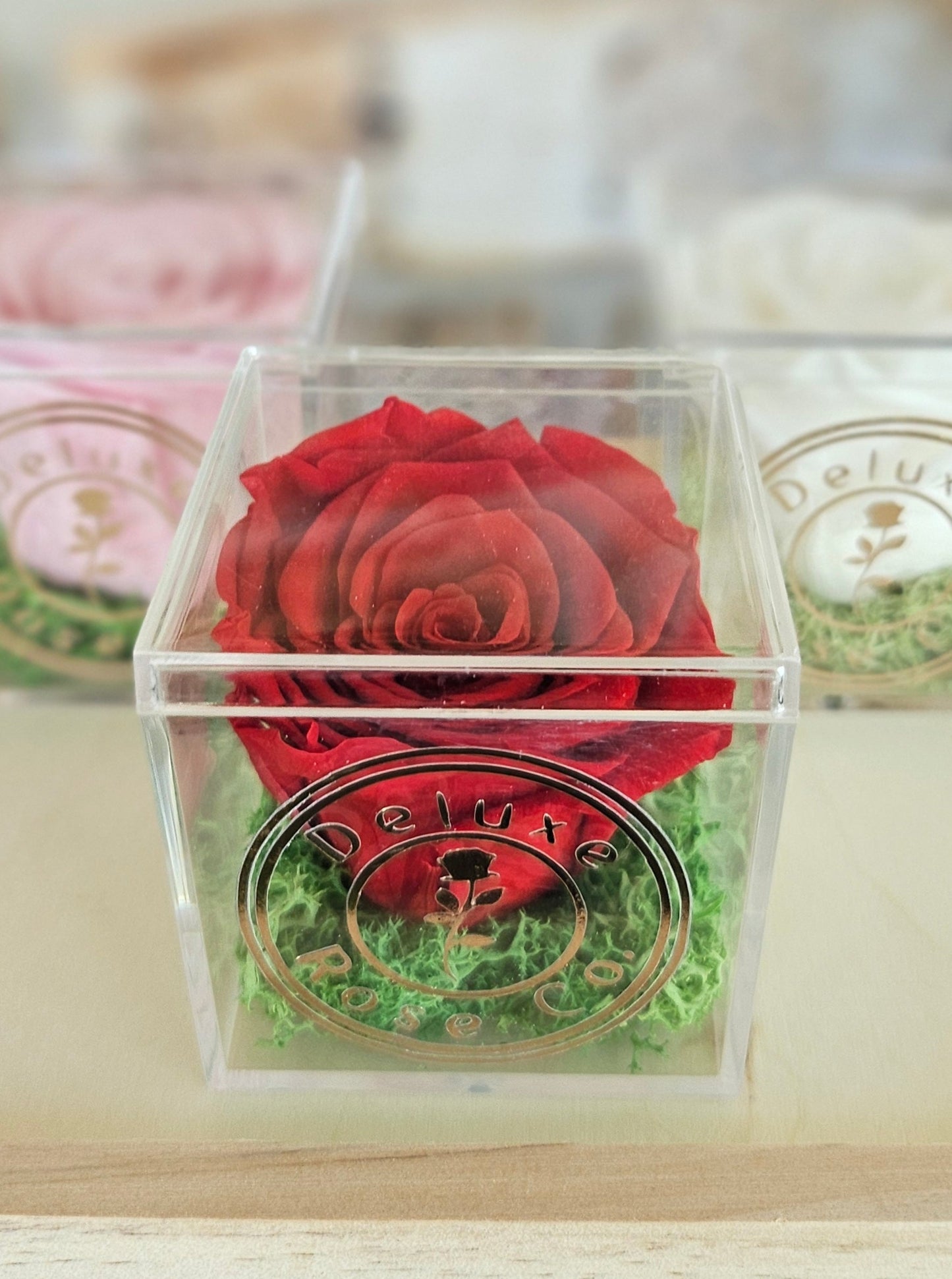 Single Rose Acrylic Box