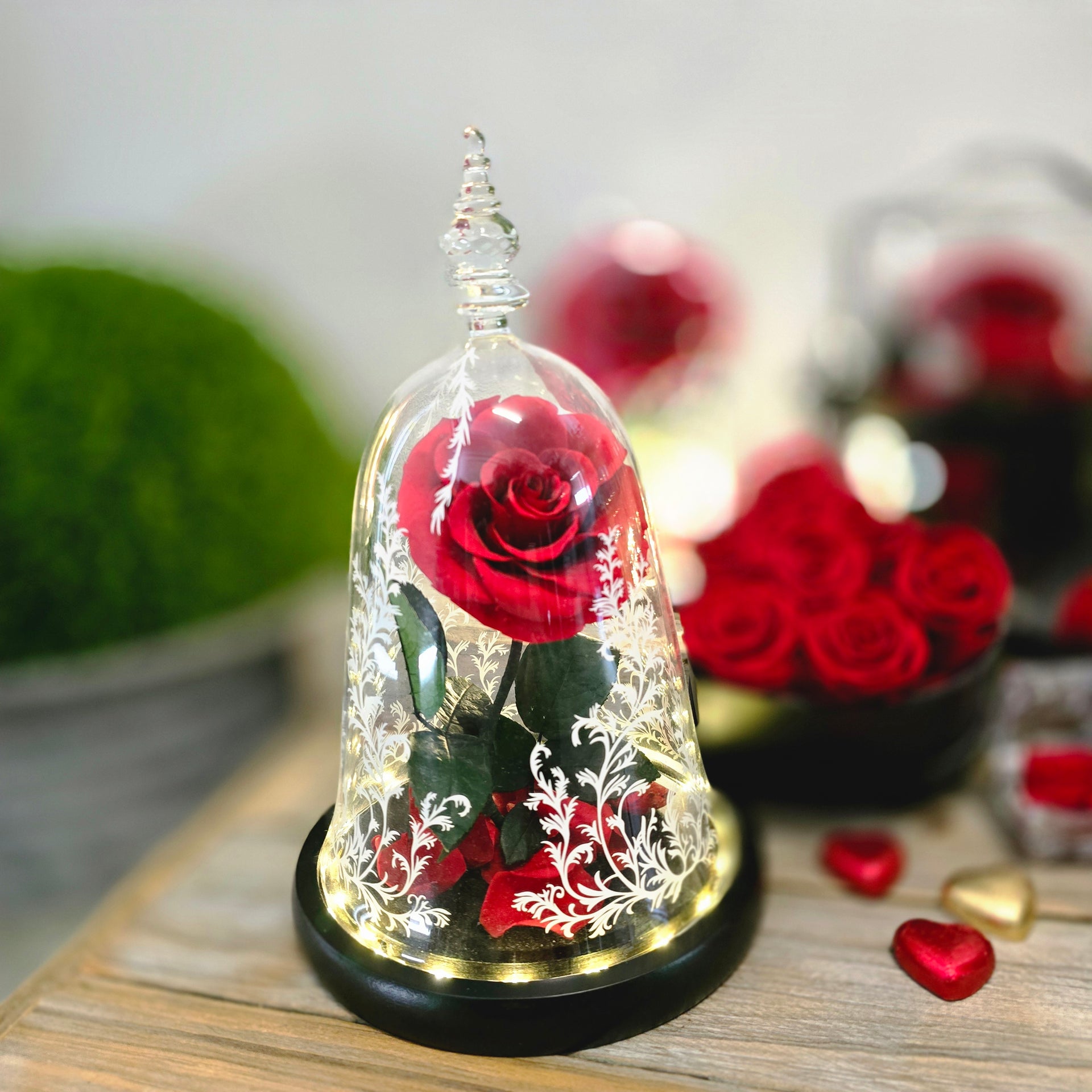 Beauty and the Beast Rose Dome – Deluxe Rose