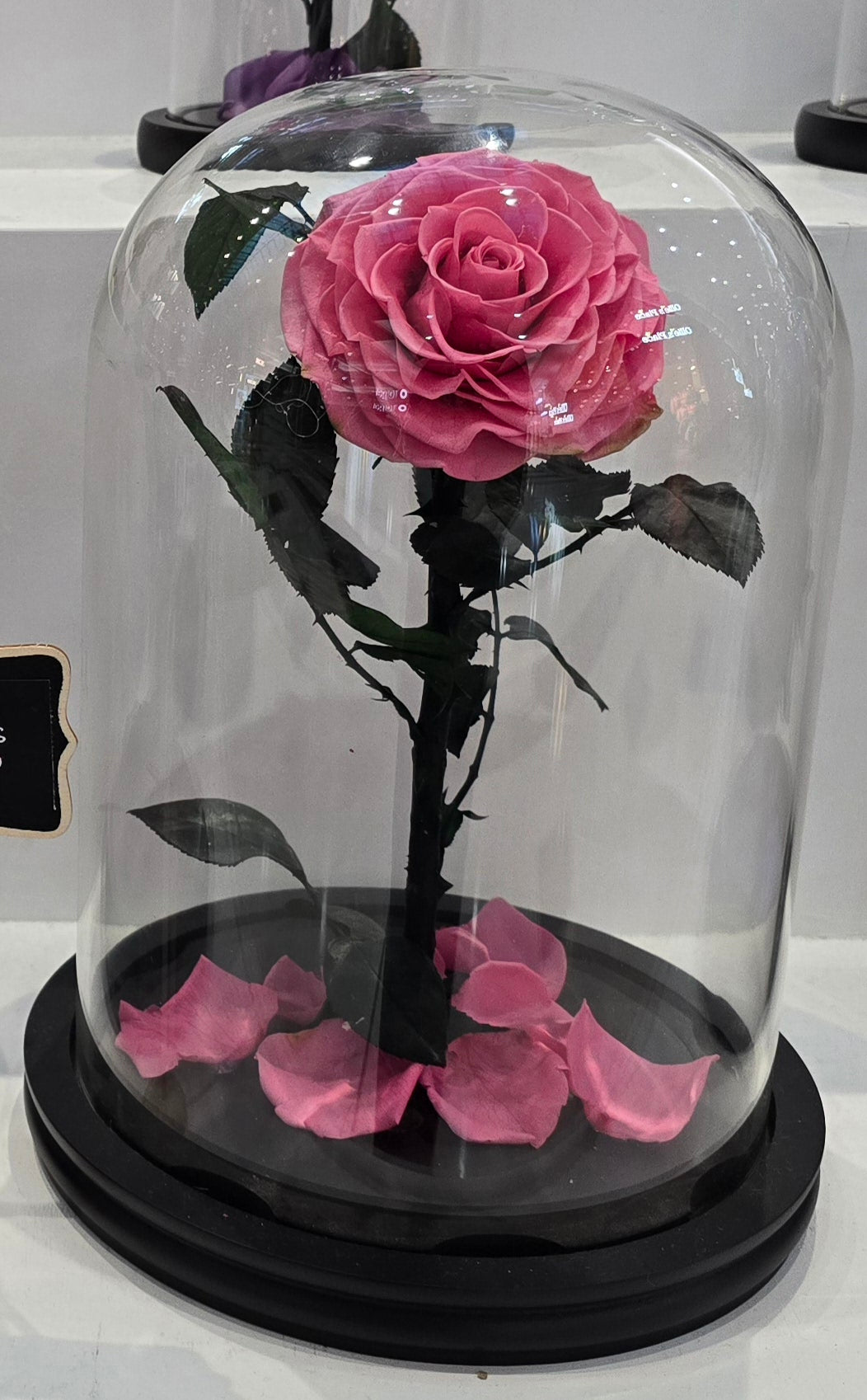 Rose Domes - Large