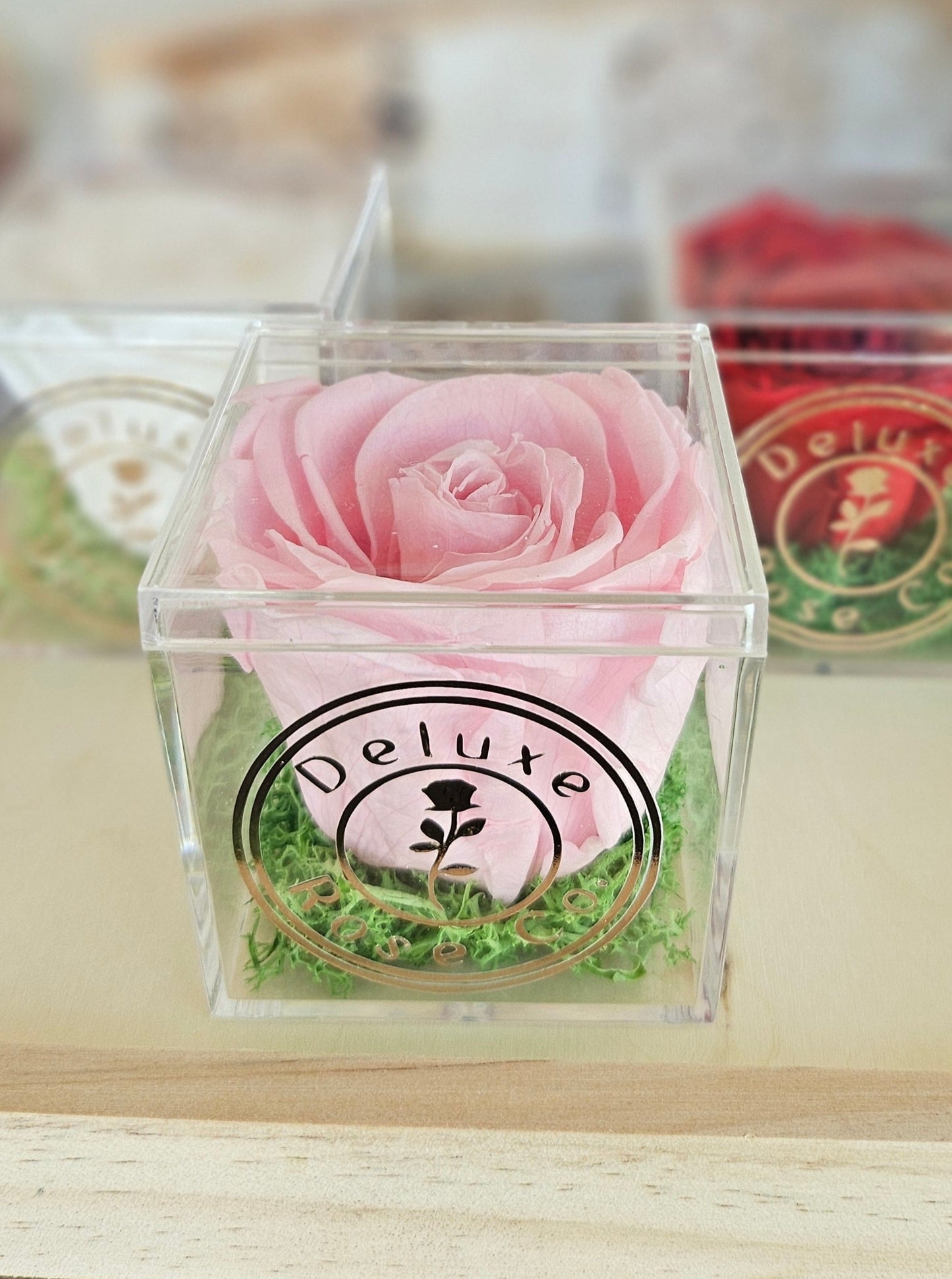 Single Rose Acrylic Box