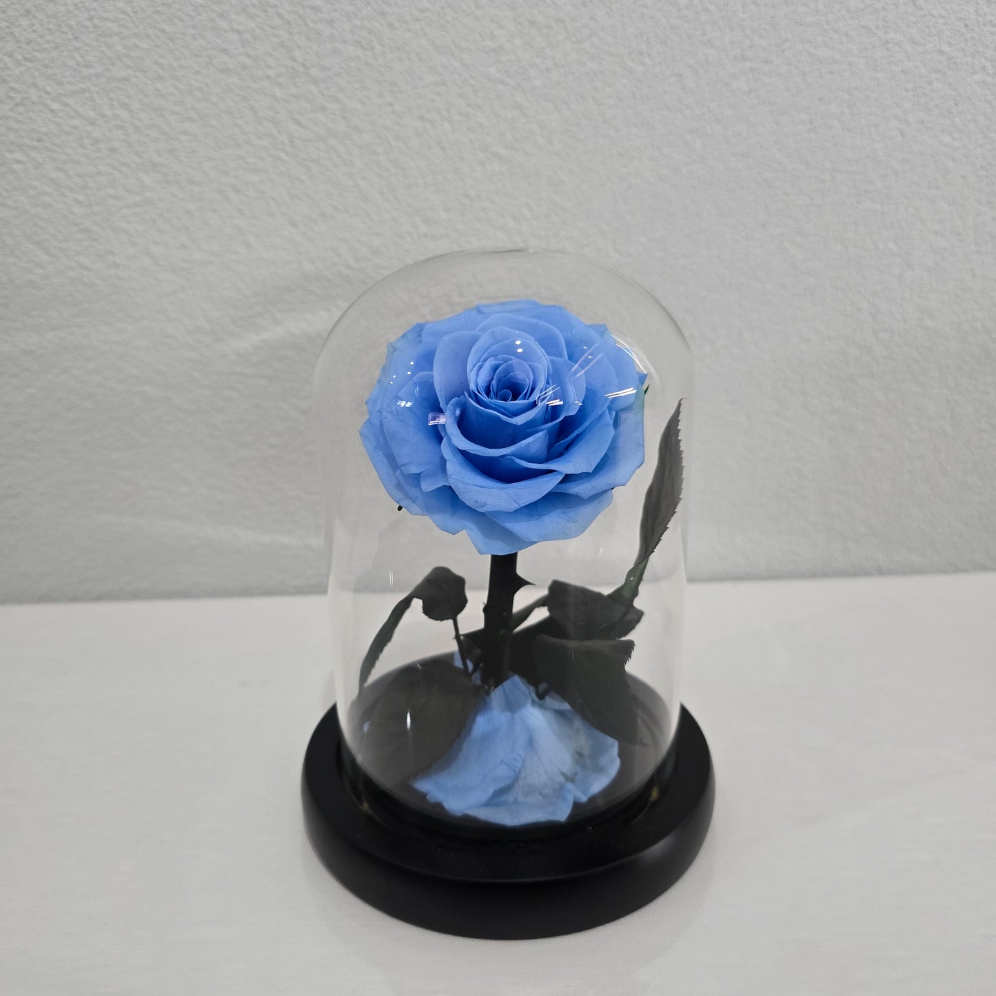 Rose Domes - Mini