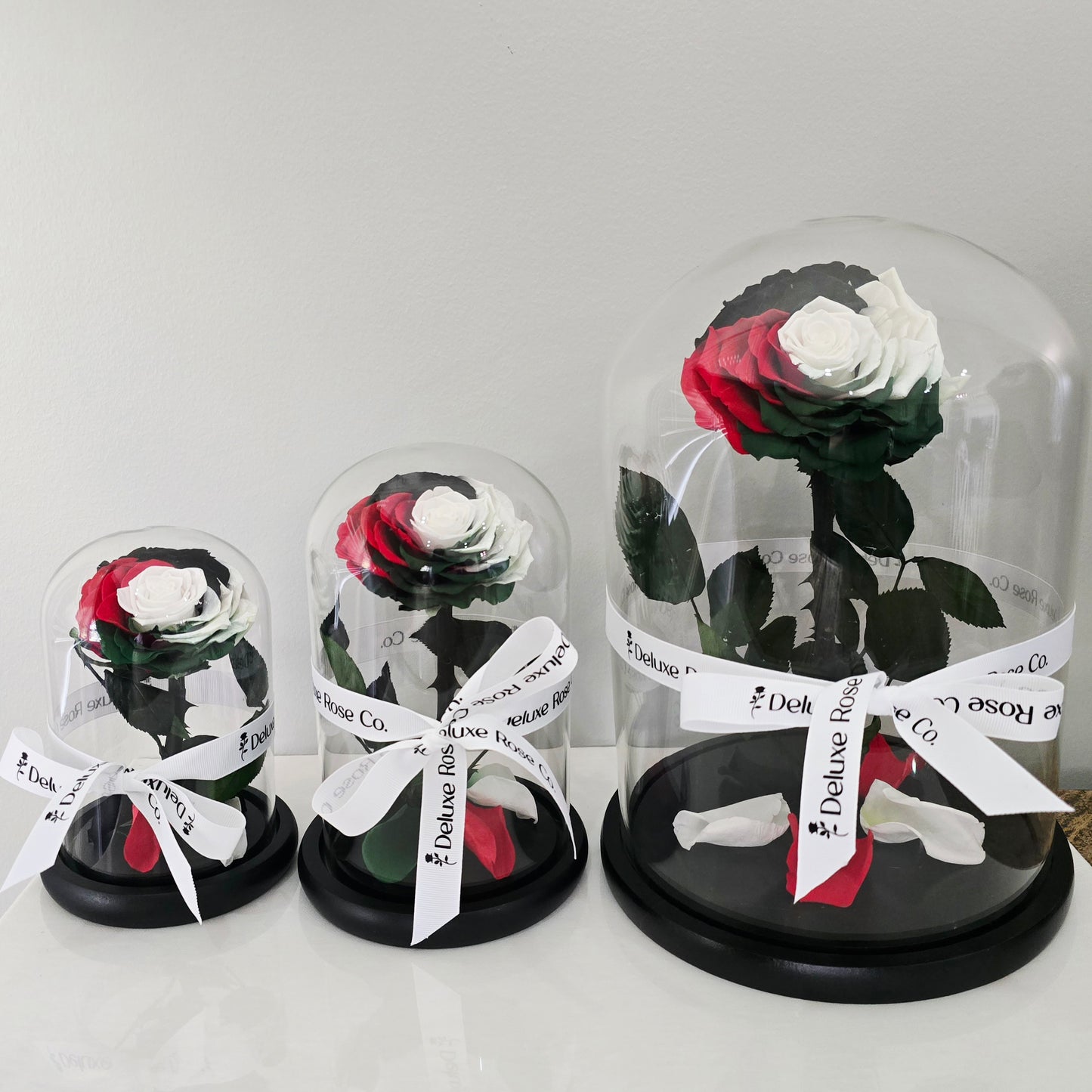 Palestinian Charity Rose Dome