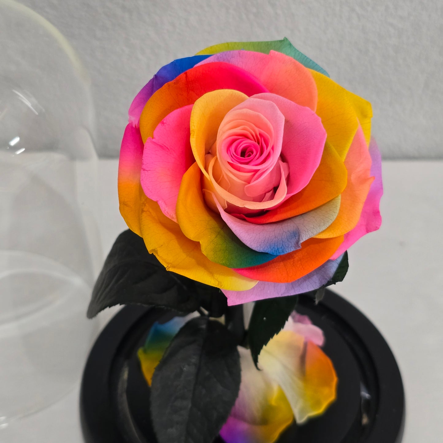 Rose Domes - Mini